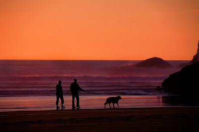 retired couple walking on a beach covered in the gold light of a sunset