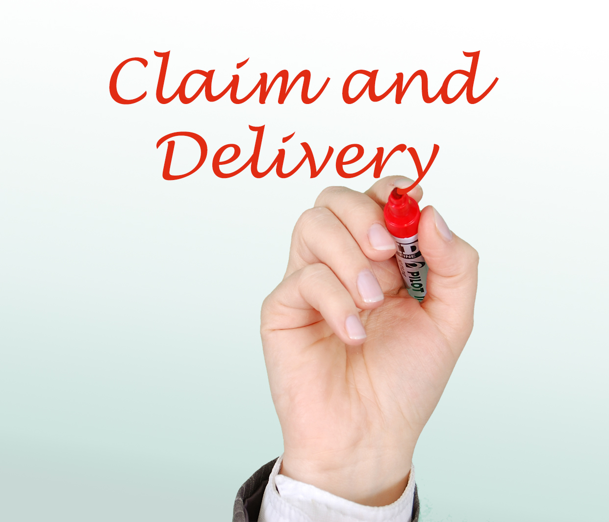 Claim and Delivery, North Carolina, business, dispute, lawsuit